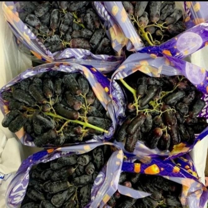 

Promo Anggur Mondroop /Shapire Usa Fresh Manis Per 1Kg
