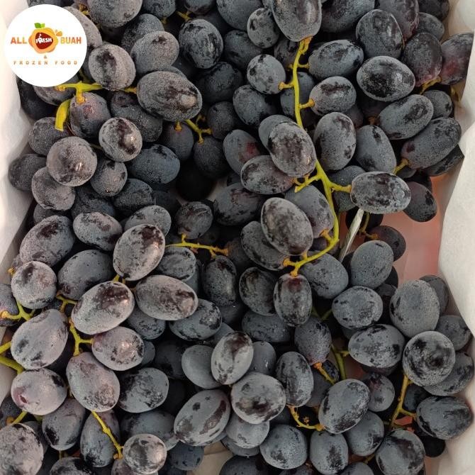 

Sale Anggur Hitam 1 Kg Buah Anggur Hitam