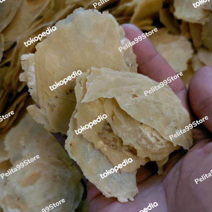 

Grosir Emping Melinjo Mentah Super Asli Yogyakarta