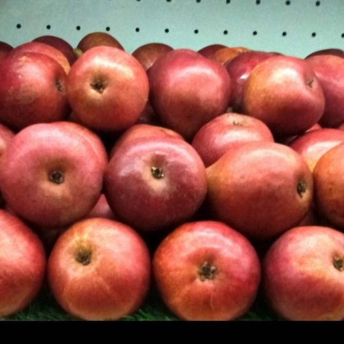 

Murah Buah Pear Anjau Merah Australia Fresh Manis Per 1 Kg