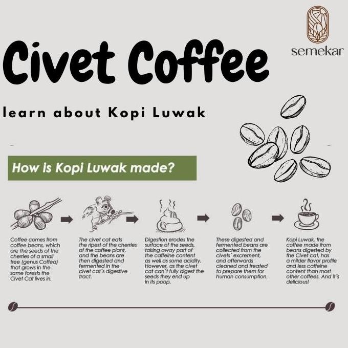 

Kopi Luwak Liar Arabica Aceh Gayo Coffee Asli Specialty Coffee | Grade 1 Arabica Luwak Bubuk Hitam Original Dan Terlaris