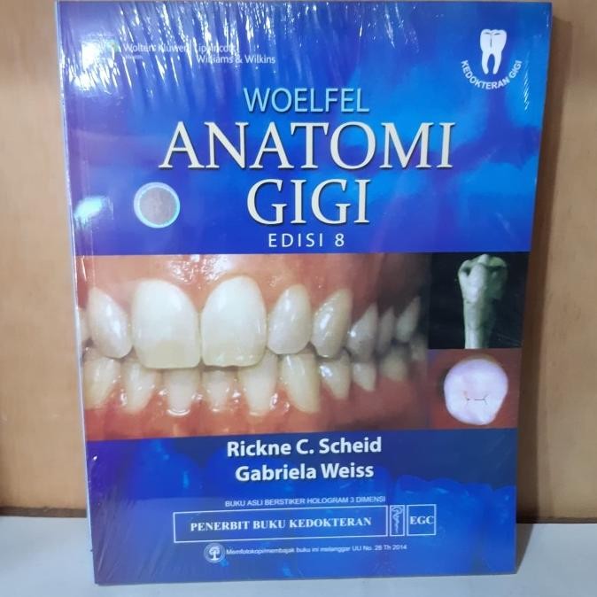 anatomi gigi woelfel ed 8 egc
