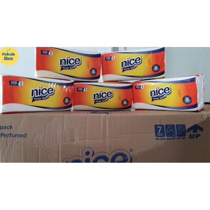 GROSIR 1 DUS Tissue Tisu Nice Facial 250s