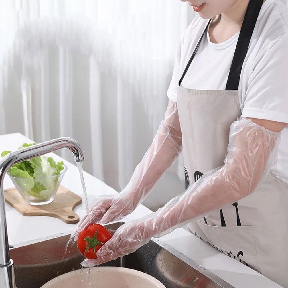 Premium [10Pcs ] 60Cm Cpe Sarung Tangan Plastik Panjang Elastis Higienis Tahan Air Dan Minyak Multif