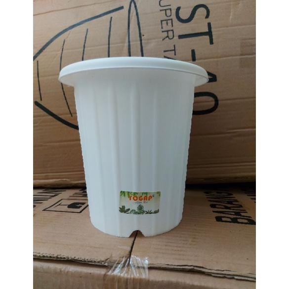 YOGAP 15 LUSINAN (ISI 12 PCS)