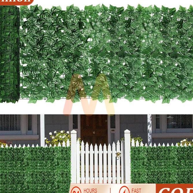 Coddaun Rambat Ulur 13M Daun Inteti Daun Plati Hia Inteti Daun Hia Daun Rumput Hia Rumput