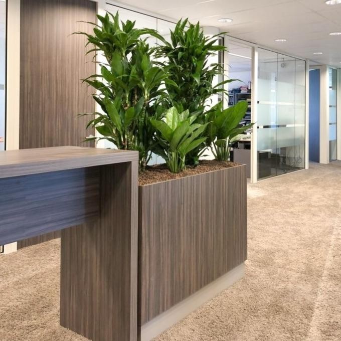 Terlaris Pot Bunga Partisi Sekat Ruangan