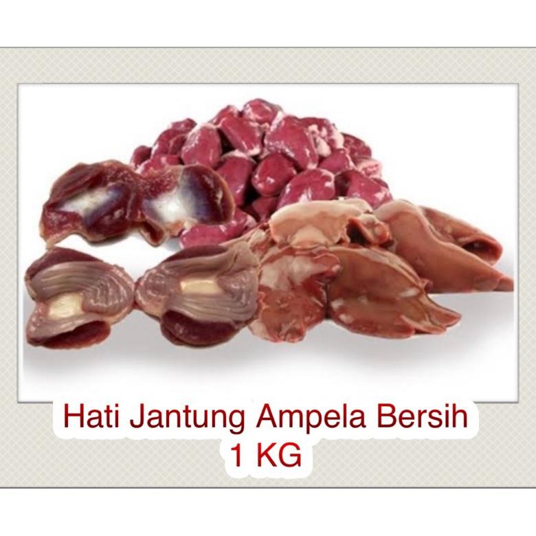 

Berkualitas Hati Jantung Ampela Bersih Ayam 1Kg Promo
