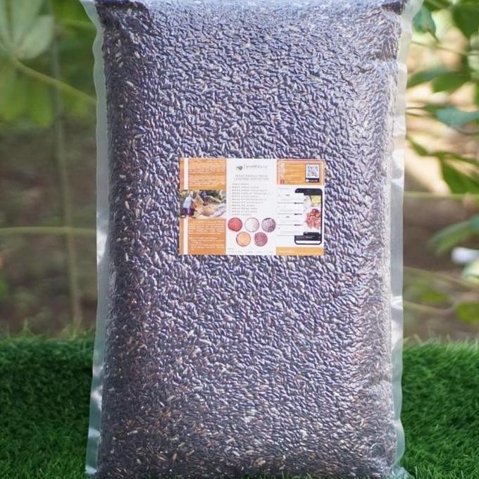 

Baru Beras Hitam Pecah Kulit FRESH diambil langsung dari Sawah Petani (5kg) beras wangi