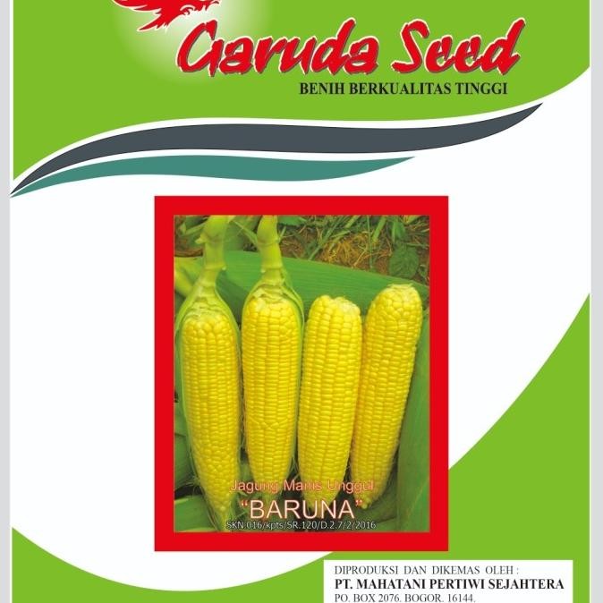 benih jagung manis baruna 250gram murah