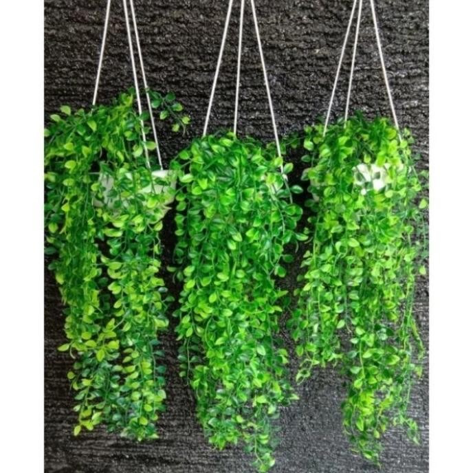 3 set pot gantung dan bunga juntai kemuning artificial plastik