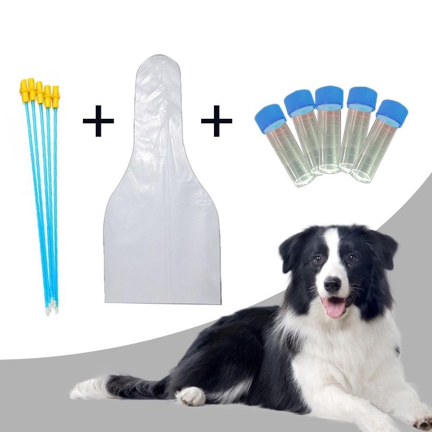 Premium Alat Inseminasi Buatan Kit Hewan Anjing Kucing Sapi Dll Selang Kawin Suntik High Quality