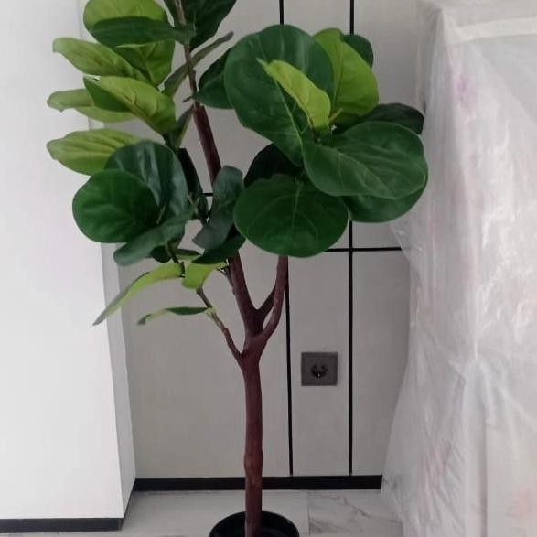 Terlaris Tanaman Hias Artificial Pohon Plastik Ketapang Biola Cantik Imitasi