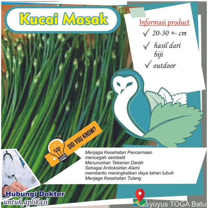 

Terlaris Kucai Masak (Allium Tuberosum) Tanaman Herbal & Sayuran Aromatik Dari Yuyus Toga Batu Nama L Garlic Chives