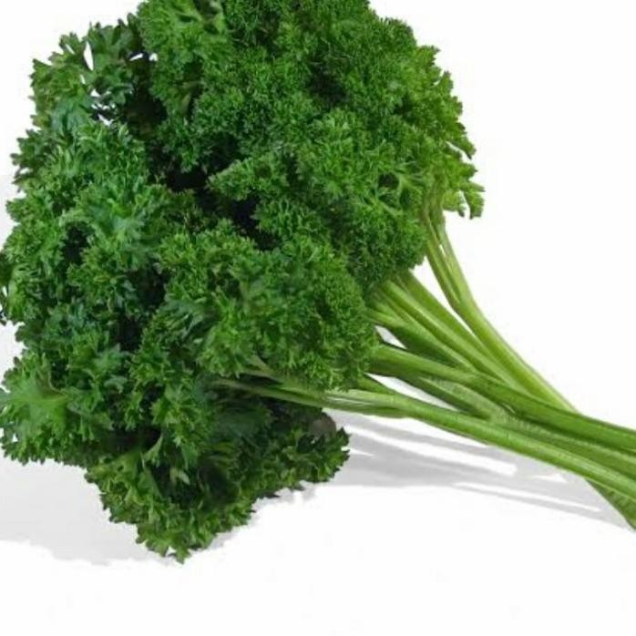 

Terlaris Bibit Sayur - Seledri Parsley (Peterseli) - Tanaman Herbal