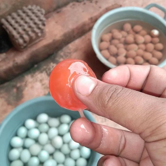 

Terlaris Telor Asin Mentah