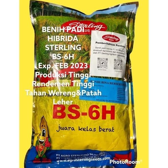 Terlaris Bshs 6H Bs-6H 1Kg Exp: Juli 2023 Benih Padi Hibrida Sterling Produksi