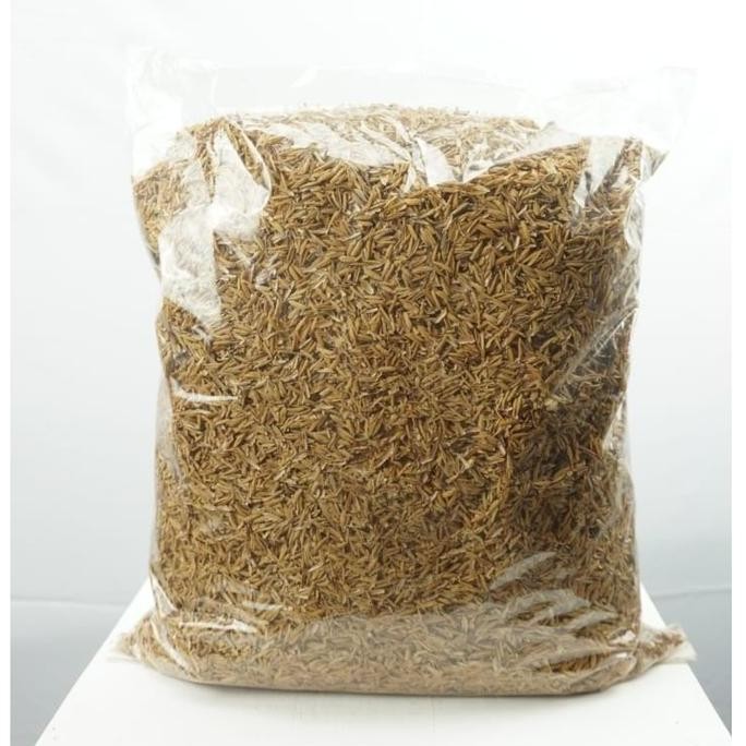 

Terlaris Sekam Mentah / Kulit Padi / Media Tanam Via Gojek/Grab