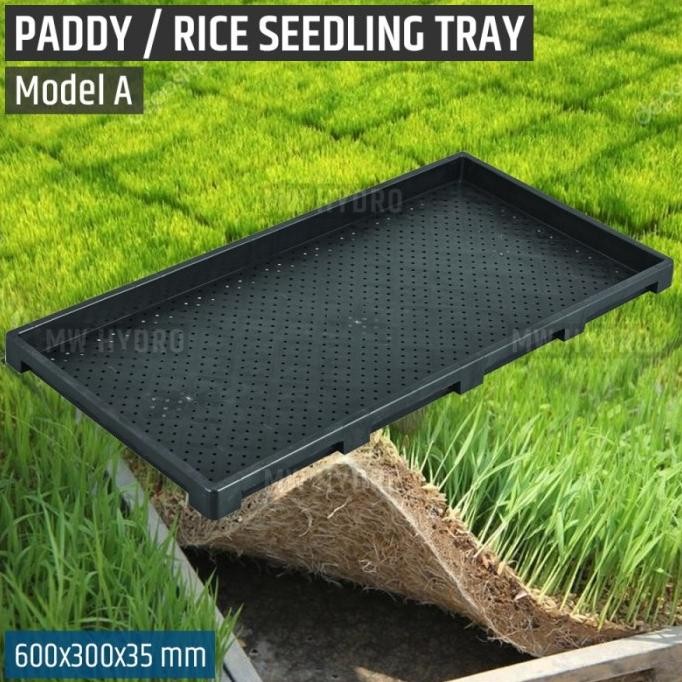

Terlaris Paddy / Rice Seedling Tray, Tray Semai Bibit Padi / Microgreen - A