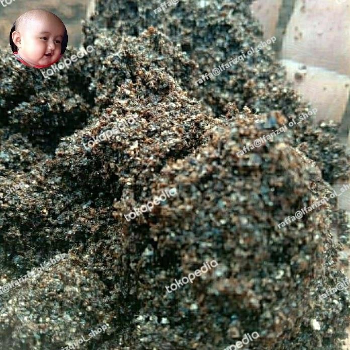

Terlaris Pupuk Organik Guano ( Murni Kotoran Kelelawar ) Kemasan 3.Kg