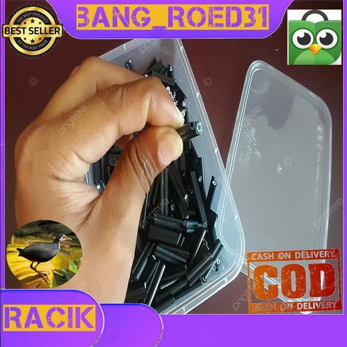 

Terlaris Klam Racik Ruak Ruak 100 Pcs/Kareo Padi/Keroak(Amaurornis Phoenicurus)