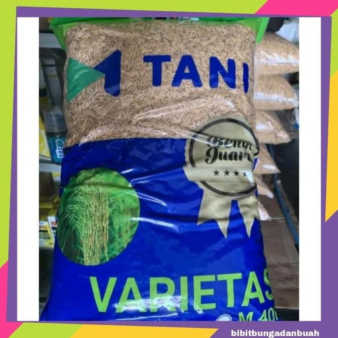 

Terlaris Benih Padi M70D 5 Kg Benih Juara