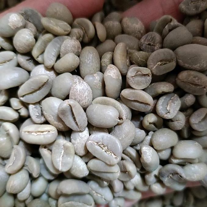 

ready stock Green Bean Arabika Gayo Luwak Liar