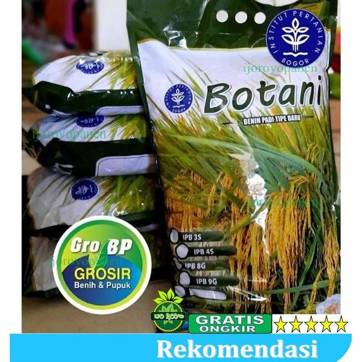 

Terlaris Benih Padi Ipb 3S Original 5Kg Unggul Murah Premium