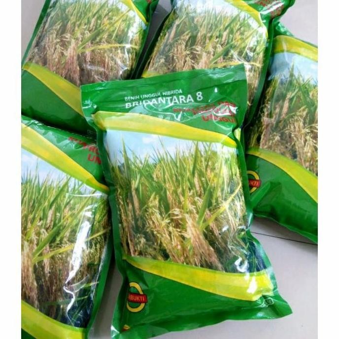 

Terlaris Benih Padi Hibrida Bridantara 8 F1 Kemasan 1 Kg