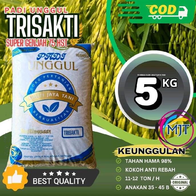 

Terlaris Benih Padi Trisakti Unggul Tahan Cuaca Dan Lingkungan - 5Kg