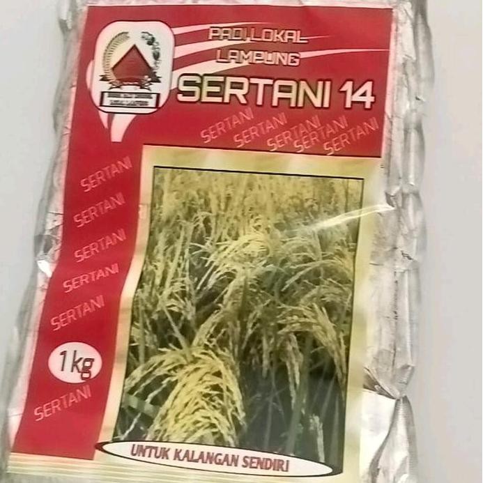 

Terlaris Benih Padi Lokal Sertani 14