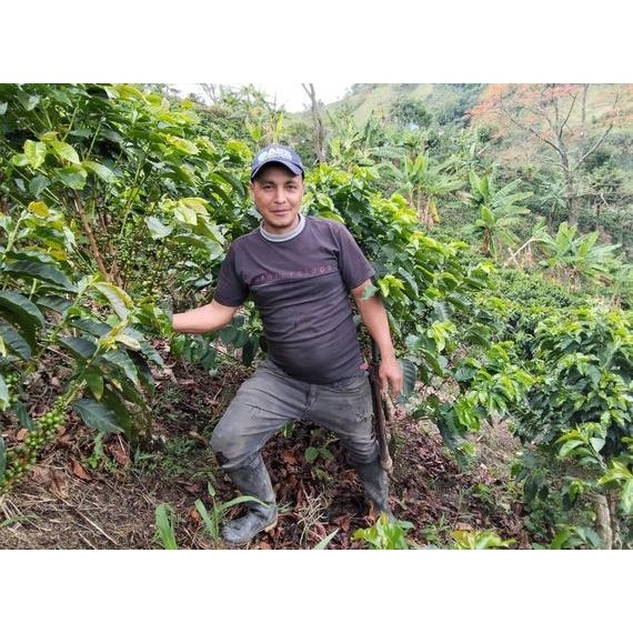 

ready stock Prodigal El Espejo Colombia Gesha Washed - Single Dose