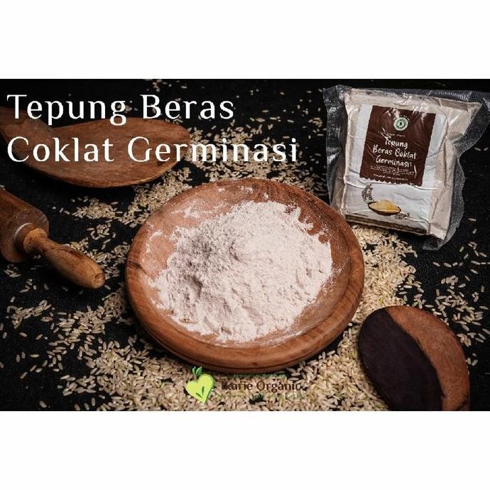 

Terlaris Tepung Beras Coklat Germinasi Ikarie Organic 250 Gr
