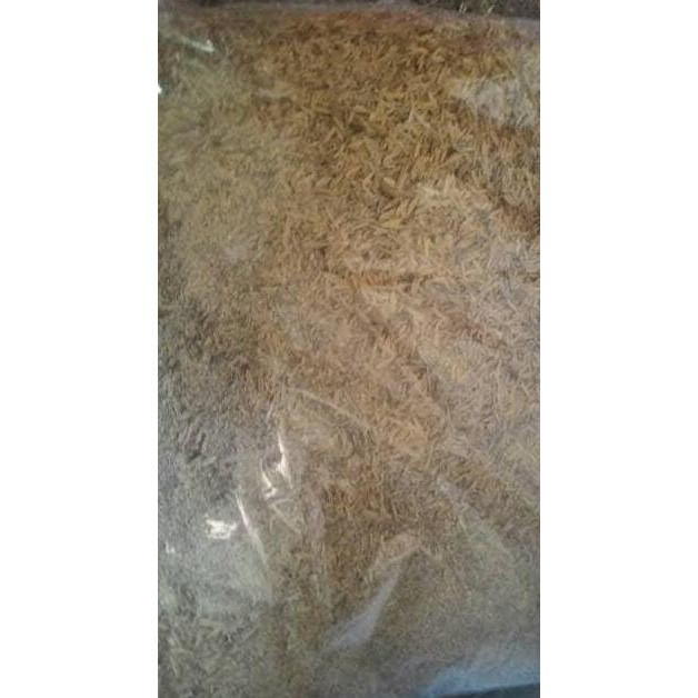 

Terlaris Sekam Atau Kulit Padi Kemasan Ekonomis