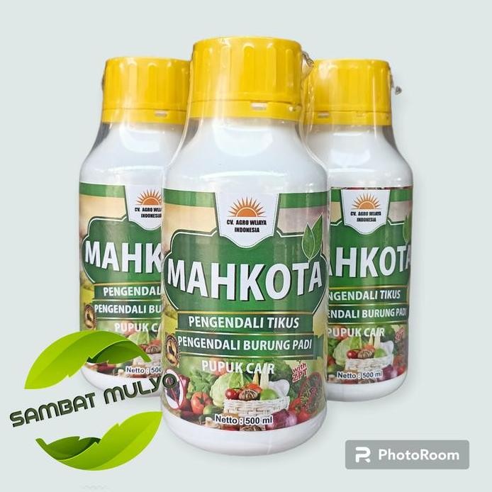 

Terlaris Pupuk Cair Mahkota Pengendali Tikus Dan Burung Padi Plus Zpt Isi 500Ml