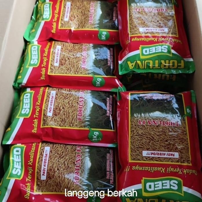 

Terlaris Benih Padi Hibrida Fortuna Seed (Mirip Mapan 05)