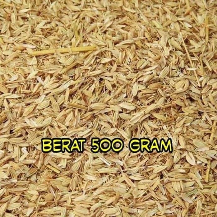 

Terlaris Sekam Mentah Sekam Padi Media Tanam Kulit Padi Kering Kompos 500 Gram