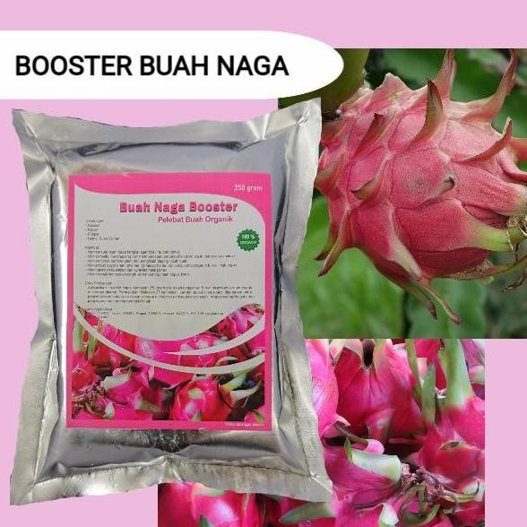 

Terlaris Pupuk Booster Buah Naga Agar Cepat Berbuah Lebat Besar Manis Organik