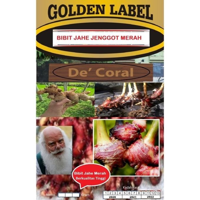 

Terlaris Bibit Jahe Merah Berkualitas Tinggi Cap Jenggot Merah 1 Kg