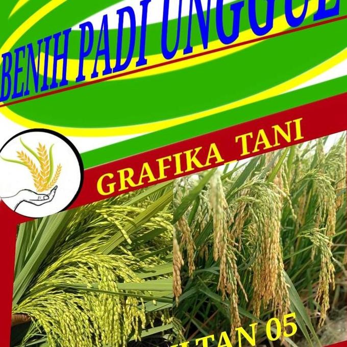 

Terlaris Benih Padi Trisultan 05 1Kg