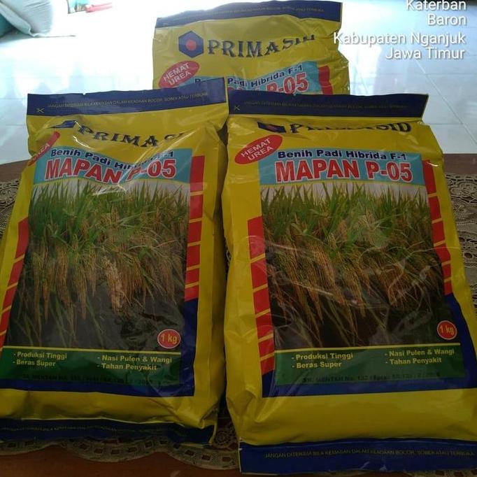 

Terlaris Benih Padi Mapan 05