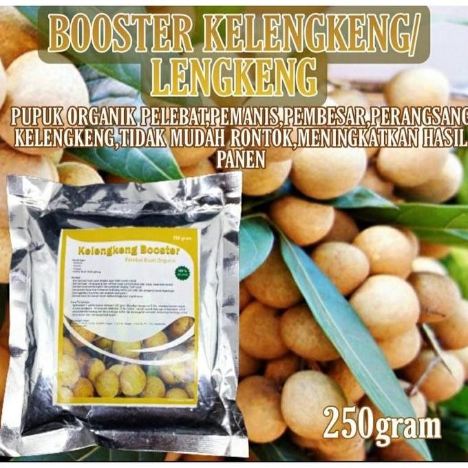 

Terlaris Pupuk Kelengkeng Booster Organik Pelebat Percepat Pemanis Kelengkeng