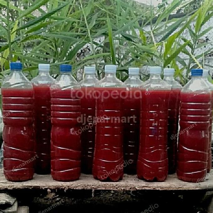 

Terlaris Bakteri Fotosintesis Psb Pupuk Organik Cair 1,35 Liter, Umur 8 Bulan