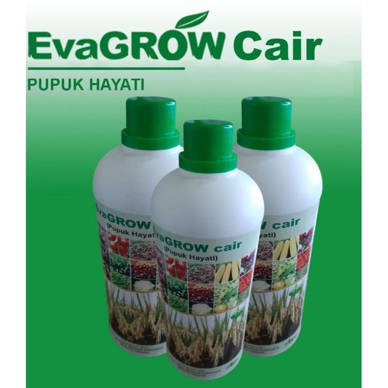 

Terlaris Evagrow Cair - Bio Organic Fertilizer - Pupuk Hayati - Pupuk Organik