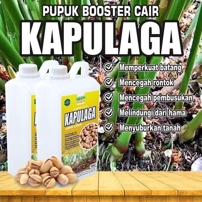 

Terlaris Pupuk Organik Perangsang Kapulaga 1 Liter Pupuk Pemacu Pembuahan Booster Penyubur Dan Pelebat Buah