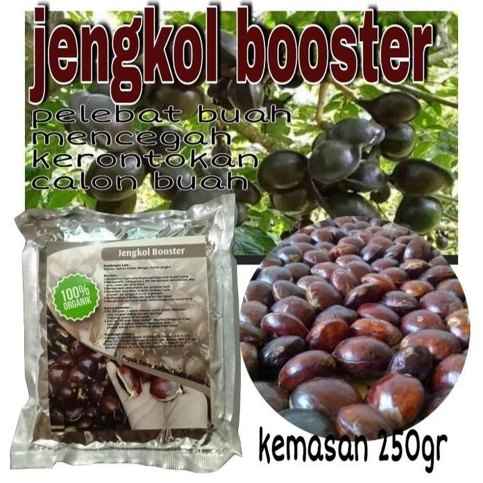 

Terlaris Pupuk Jengkol Booster Pupuk Tanaman Jengkol Organik Pelebat Buah