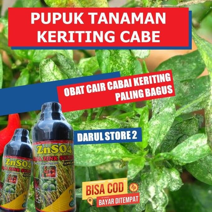 

Terlaris Obat Daun Cabai Keriting Znso Paling Bagus - Pupuk Atasi Daun Cabai Jadi Keriting Pupuk Organik Untuk Tanaman Daun Cabe Keriting Cabai Isi 500 Ml Kemasan Botol