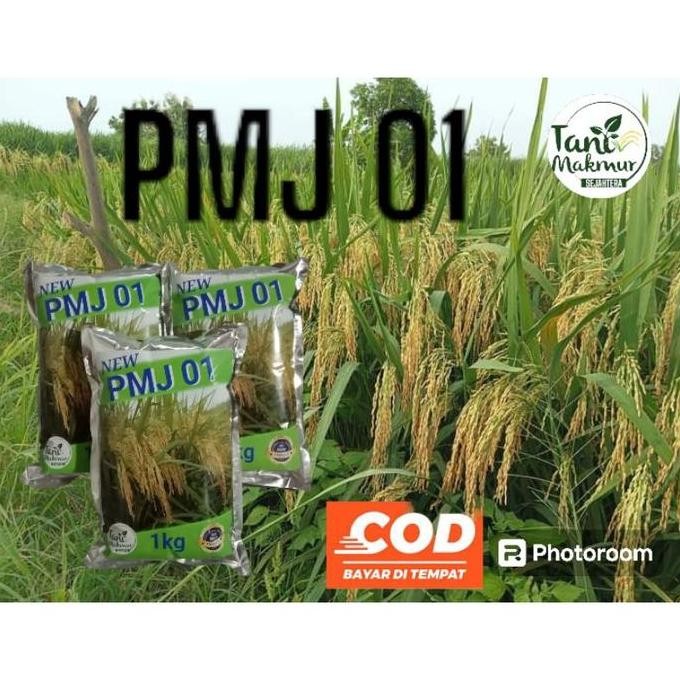 

Terlaris Bibit Benih Padi Pmj Original Kemasan 1Kg
