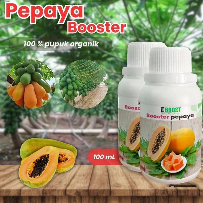 

Terlaris Pupuk Organik Cair Tanaman Pepaya 100Ml Booster Pemacu Pertumbuhan, Pembuahan Alami