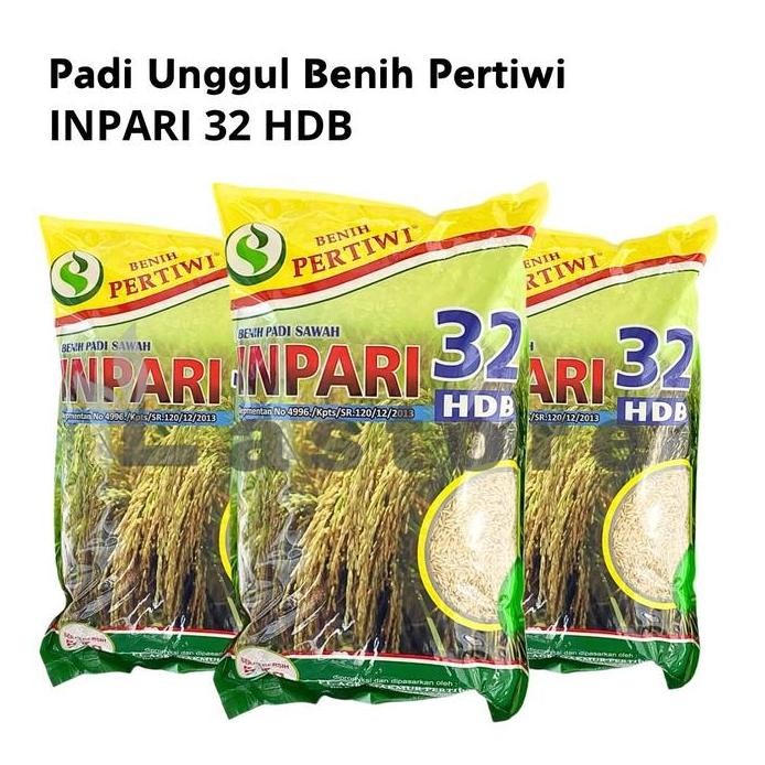 

Terlaris Benih Padi Sawah Unggul Inpari 32 Hdb 5Kg Bersertifikat Benih Pertiwi